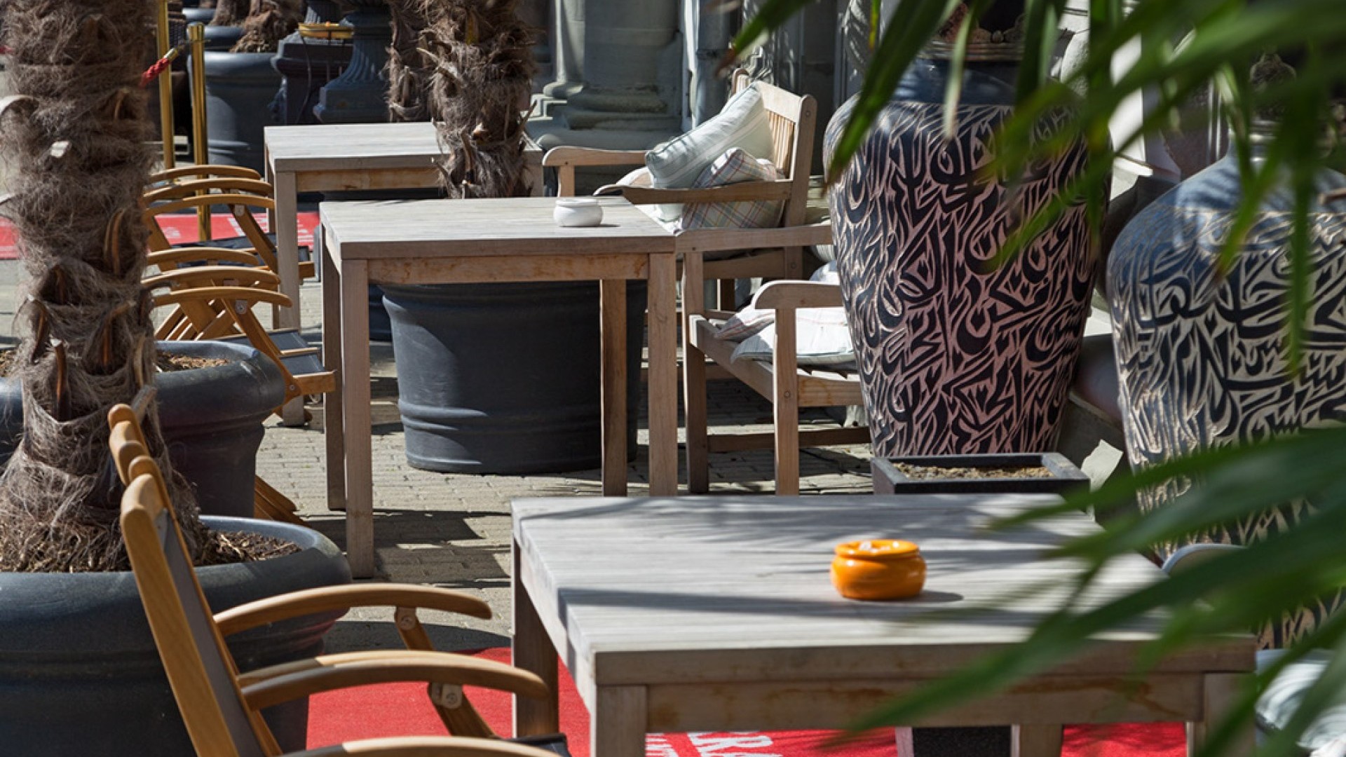 Terrace in front of the house with palm trees 
