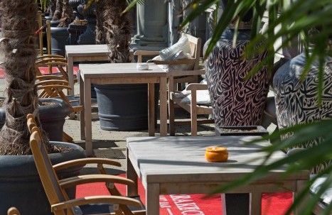 Terrace in front of the house with palm trees