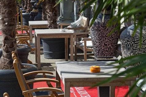 Terrace in front of the house with palm trees