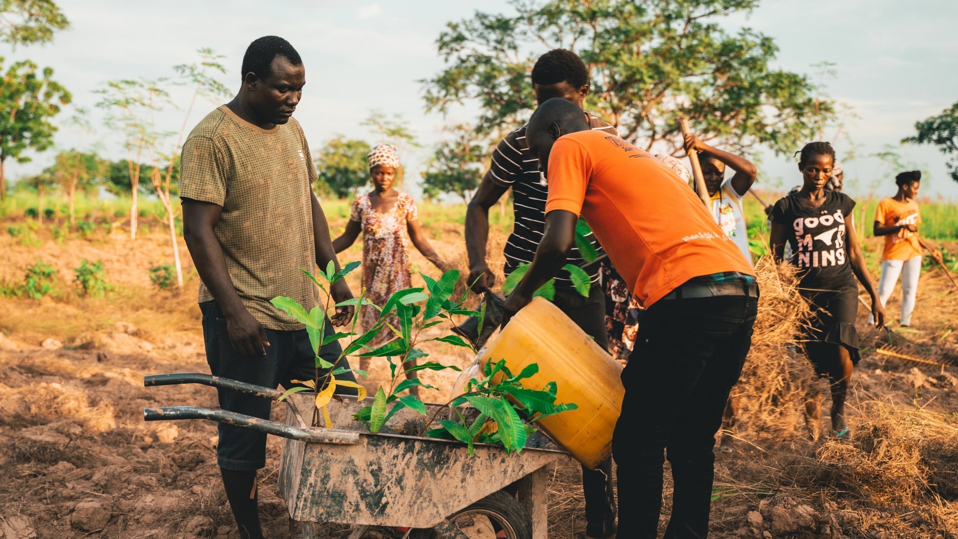 Team members in Ghana planting trees