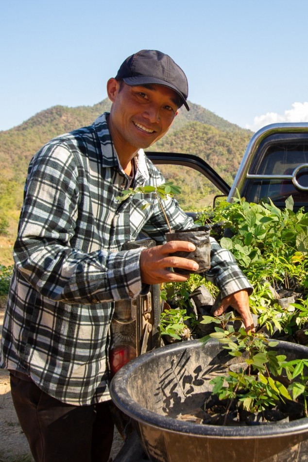 Employees in Ghana with plant seedlings