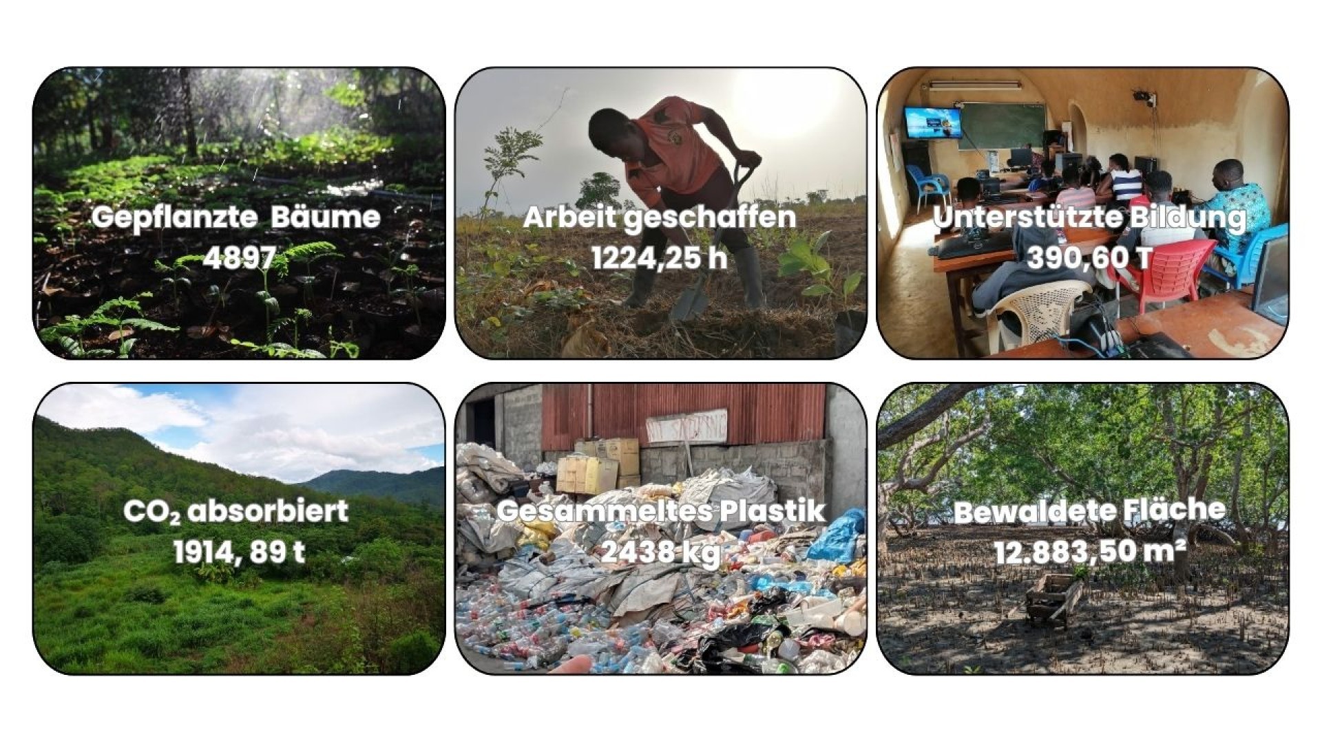 Übersicht über die bisher gepflanzen Bäume, gesammelten Plastik und geschaffenen Arbeitsplätze