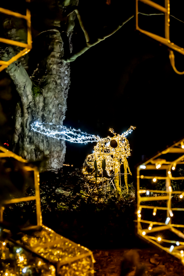Beleuchete Biene und Honigwabe auf der Insel Mainau beim Christmas Garden 