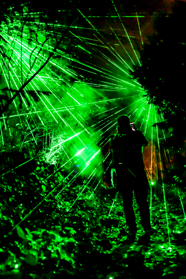 Lichtershow beim Christmas Garden auf der Insel Mainau