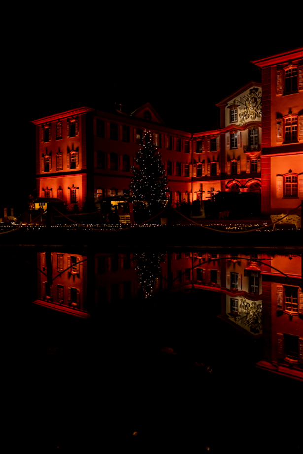 Schloss der Insel Mainau im Lichterschein bei Nacht