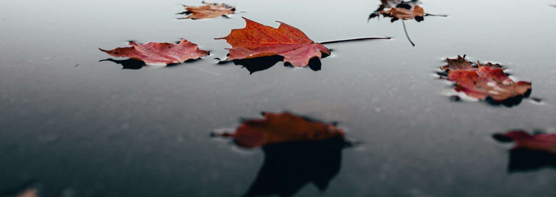  Autumn Atmosphere by the Lake